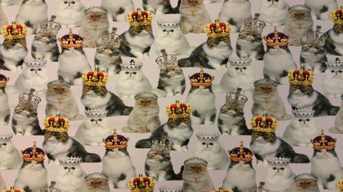 Digitale print royal cats