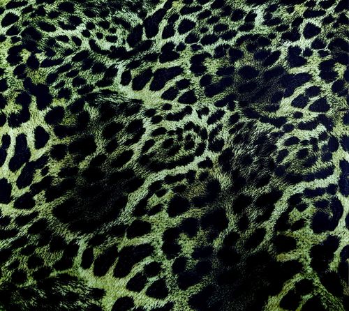 Luipaard print groen met zwart