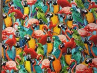 flamingo's-and-parrots