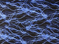 lycra-zwart-neon-blauw