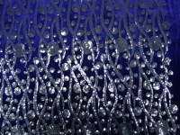 velours-pinyetten-konings-blauw