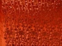 velours-pinyetten-rood